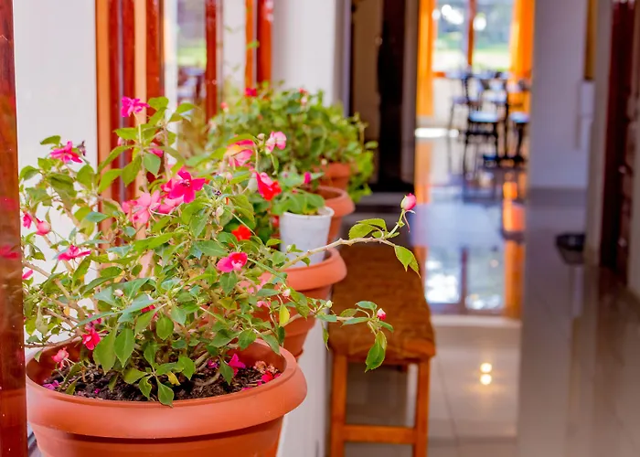 House Hotel Cuzco